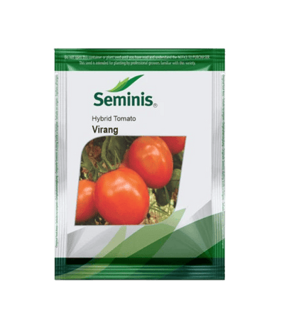 Tomato Virang-3500 seeds