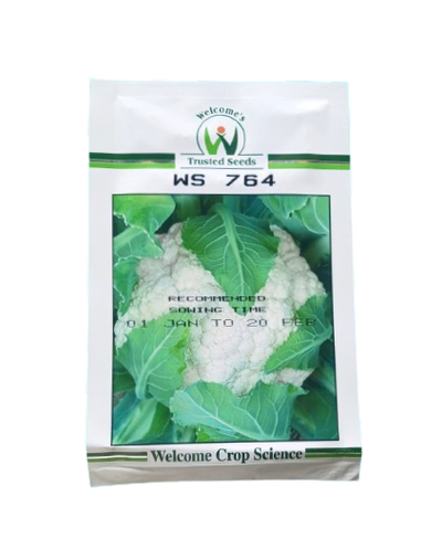 Welcome Cauliflower Seeds WS 764