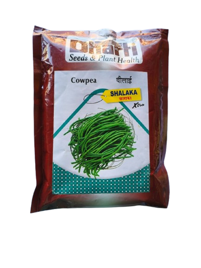 Cowpea Shalaka by Dharti Seeds