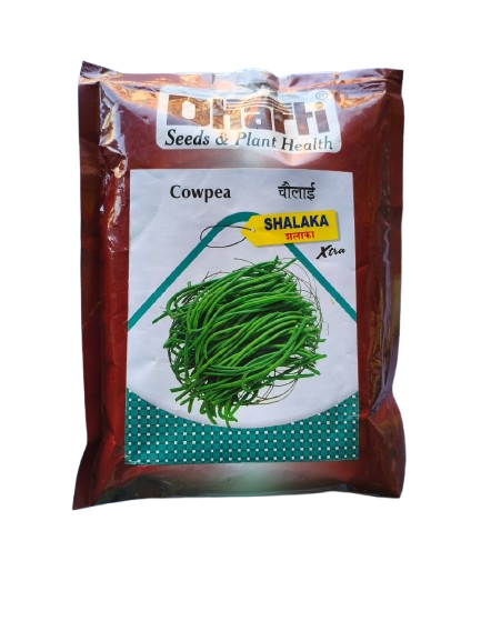 Cowpea Shalaka by Dharti Seeds