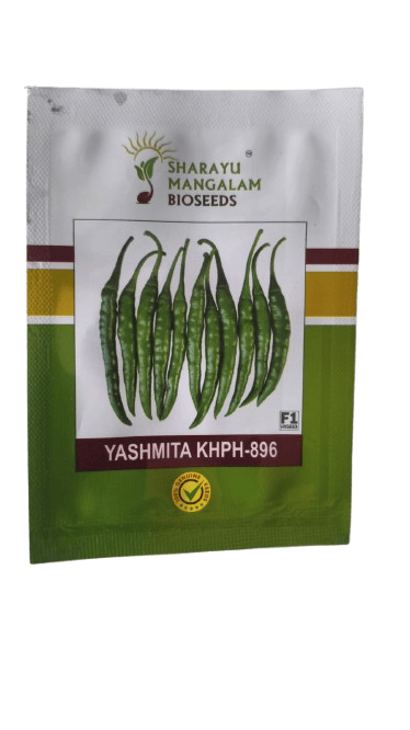 Chilli Yashmita KHPH-896 F1 Hybrid Seeds – Sharyu Seeds-40 Seeds