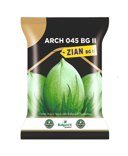 Cotton ARCH 045 ZIAN by Dharti Seeds