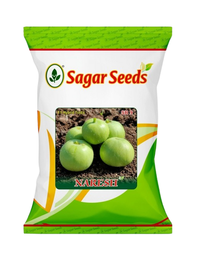Naresh F-1 Hybrid Tinda by Sagar Seeds