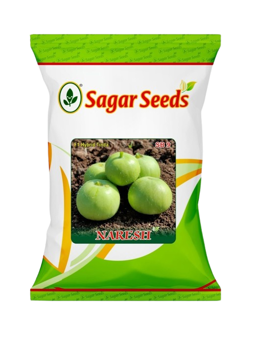 Naresh F-1 Hybrid Tinda by Sagar Seeds