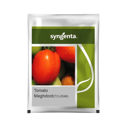 Tomato Hybrid Meghdoot (TO-2048)-3000 seeds