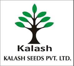 Kalash Seeds